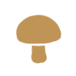 champignons